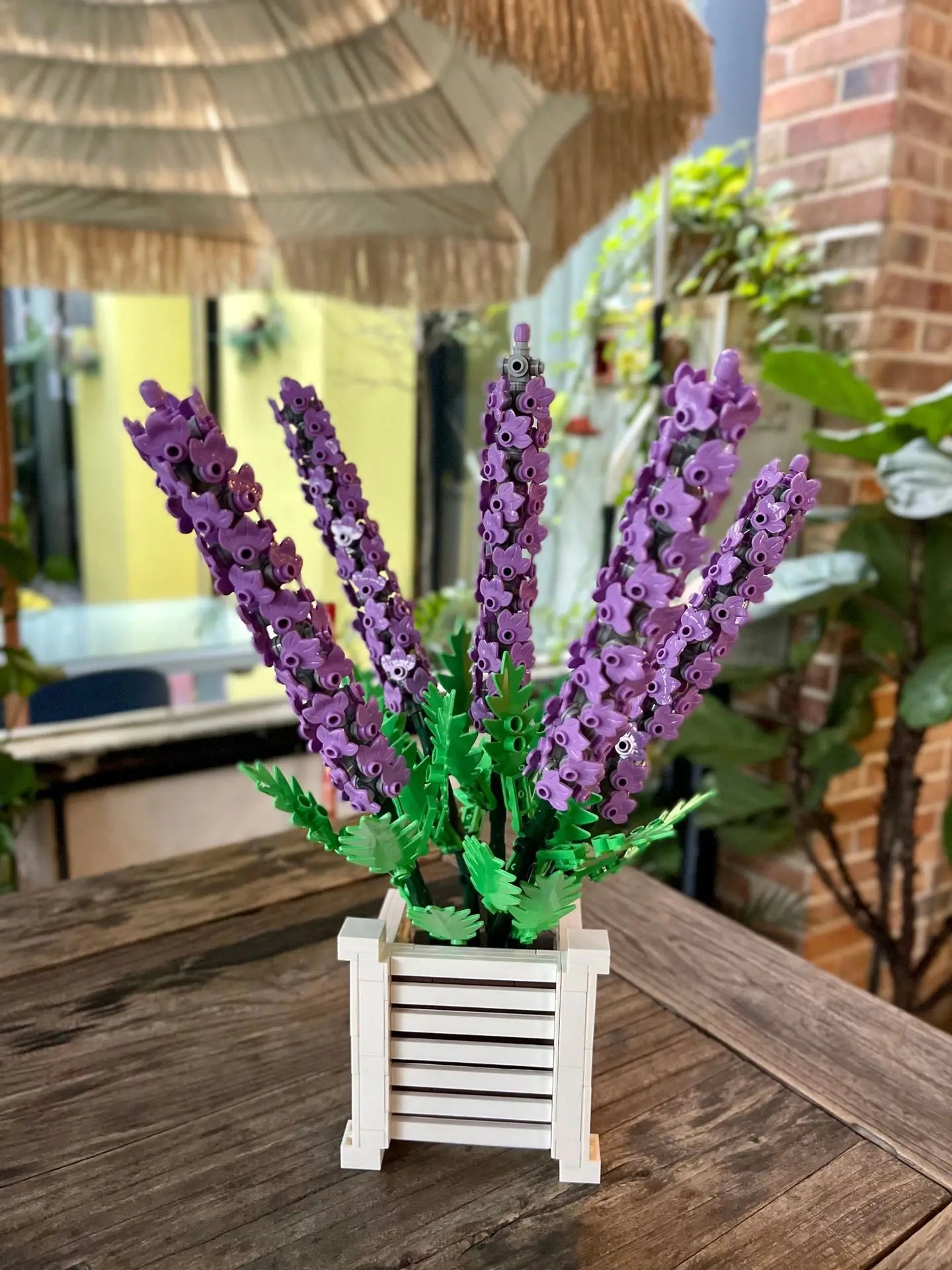 Creativity Bouquet Lavender Potted Plant