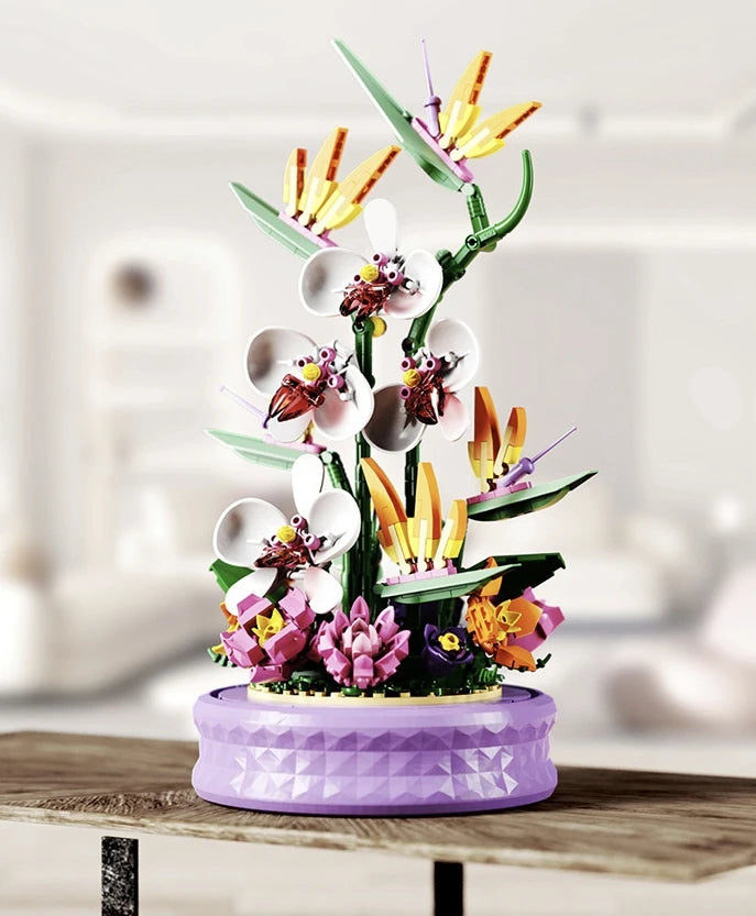Phalaenopsis Rotating Flower Music Box Building