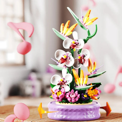 Phalaenopsis Rotating Flower Music Box Building