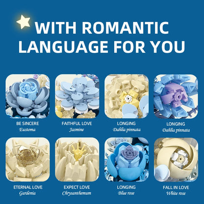 Creative Expert Eternal Moon