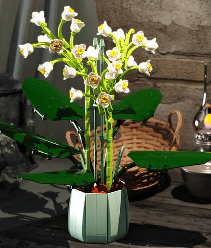 City Creativity Bouquet Flower Cymbidium Faberi Bouque