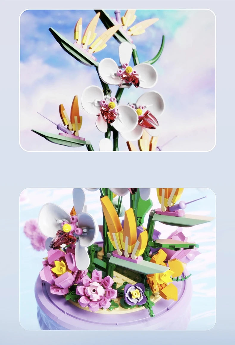 Phalaenopsis Rotating Flower Music Box Building