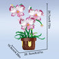 Flower Bouquet Rose Phalaenopsis Lily Sunflower Potted
