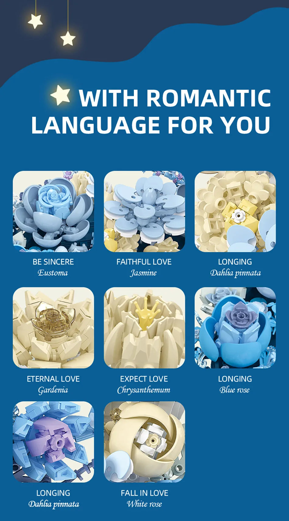 Creative Expert Eternal Moon