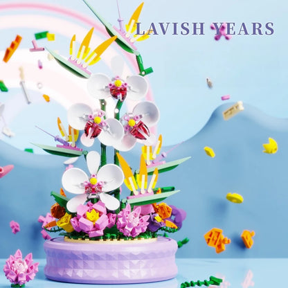 Phalaenopsis Rotating Flower Music Box Building