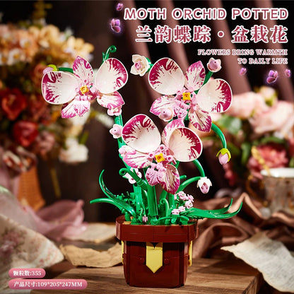 Flower Bouquet Rose Phalaenopsis Lily Sunflower Potted