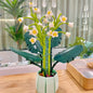 City Creativity Bouquet Flower Cymbidium Faberi Bouque