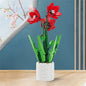 City Creativity Bouquet Flower Cymbidium Faberi Bouque