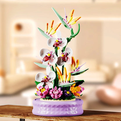 Phalaenopsis Rotating Flower Music Box Building