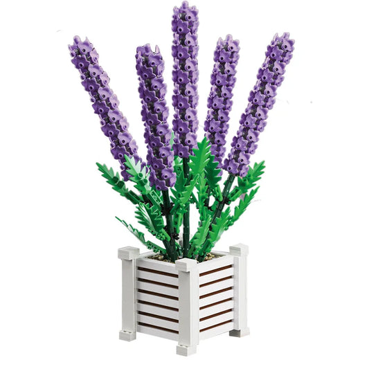 Creativity Bouquet Lavender Potted Plant