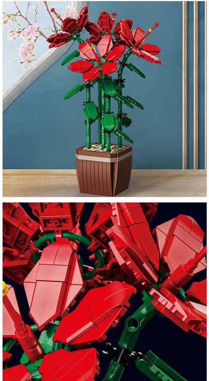 City Creativity Bouquet Flower Cymbidium Faberi Bouque